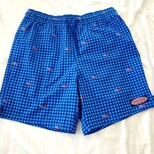 Vineyard Vines Boys Chappy bathing suit - size medium